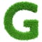 Green Grass Letter G