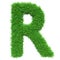 Green Grass Letter R