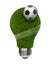 Green Grass Light Bulb with soccerball