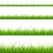 Green Grass Line Set. Vector
