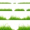 Green Grass Line Set. Vector