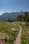 Green Grass Lines Narrow Trail In Grand Teton