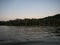 Green grass mangrove shore panorama of Sauce Lagoon lake Tarapoto Amazon river jungle rainforest Peru South America