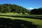 Green grass meadow and forest on hill, Snowy cone of Villarrica volcano under blue sky in sunny day. Green environment, Pucon