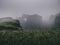 green grass on misty cliffs in Western Fjords