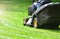 Green grass mowing with lawn mower.