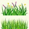 Green grass nature design elements vector illustration isolated grow agriculture nature background