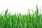 Green grass nature. plants lawn. 3d rendering natural background