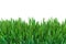 Green grass nature. plants lawn. 3d rendering natural background