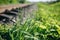 Green grass near the rail tracks in the green field. Railway transport on the empty road on summer day. Travel lifestyle