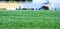 green grass on outdoor stadium, selective focus. sport and games. healthy lifestyle. playing football field. gridiron