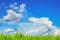 Green grass over a blue sky background and rainbow