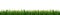 Green grass panorama isolated on white background