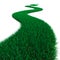 Green Grass path