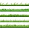 Green grass pattern set. Vector macro borders isolated on white background