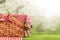 On green grass, a picnic basket against the backdrop of the landscape. A backdrop for relaxing and spending the weekend. Picnic