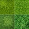 Green Grass Realistic Set