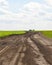 Green grass, road and clouds