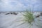 Green grass by the sea with white sand and blue sky