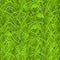 Green grass, seamless pattern