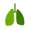 Green grass shaped like human lungs
