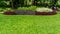 Green grass smooth lawn with bush, shrubs, trees on background