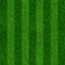 Green grass soccer field background