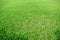 Green grass soccer pitch