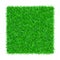 Green grass square isolated on white background 3D. Lawn greenery nature frame. Soccer field texture border. Ground