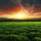 Green grass with sunset views, landscape background, nature, forests