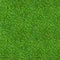 Green grass texture for background. Green lawn pattern and texture background. Close-up