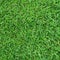 Green grass texture background for soccer sport or football sport and golf sport background.