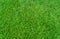 Green grass texture background for soccer sport or football sport and golf sport background.