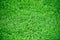 Green grass texture background Top view - grass background lawn pattern