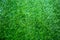 Green grass texture background, Top view of grass garden Ideal concept used for making green flooring, lawn for training football