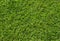 Green grass texture. Green lawn soccer field background