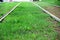 Green grass on tram tracks in spring