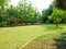 Green grass and tree in a beautiful park and buildings