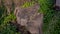 Green Grass On A Tree Stump