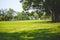 Green grass under Big tree in the public park.Nature landscape with sky background.Beautiful meadow