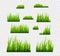Green grass vector illustration isolated. Summer natural grassy green plant for garden. Grass template