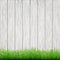 Green grass on white wood boards background