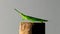 Green grasshopper on bamboo stick