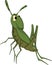 Green grasshopper. Cartoon