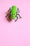 Green grasshopper toy on a pink surface