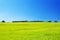 Green grassland against clear blue sky