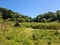 Green Grassland Landscape and Trees, Guernsey Channel Islands