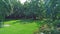 Green grassy back yard with manicured yard surrounded by trees