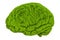 Green grassy brain, 3D rendering