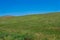 Green grassy meadows under a clear sky